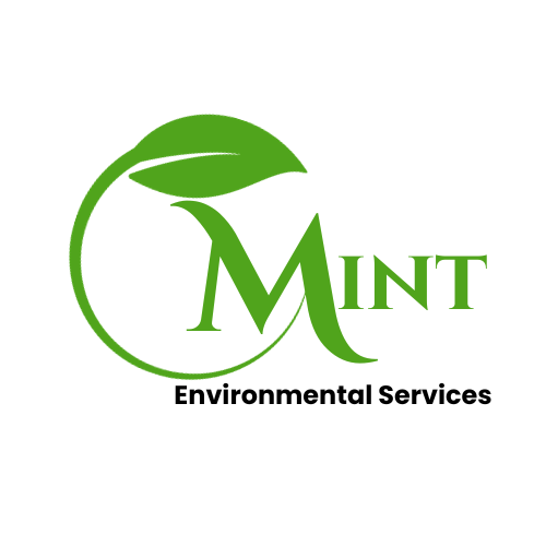 Mint Enviroment Service Orginal